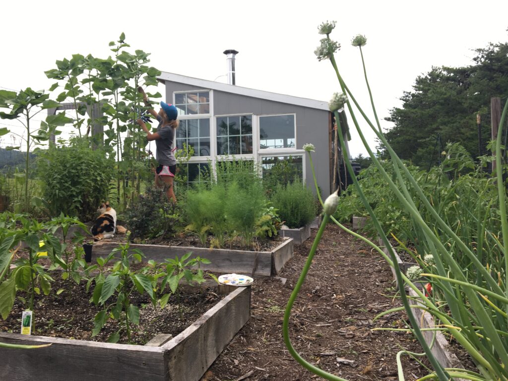 Side of Greenhouse Container Garden