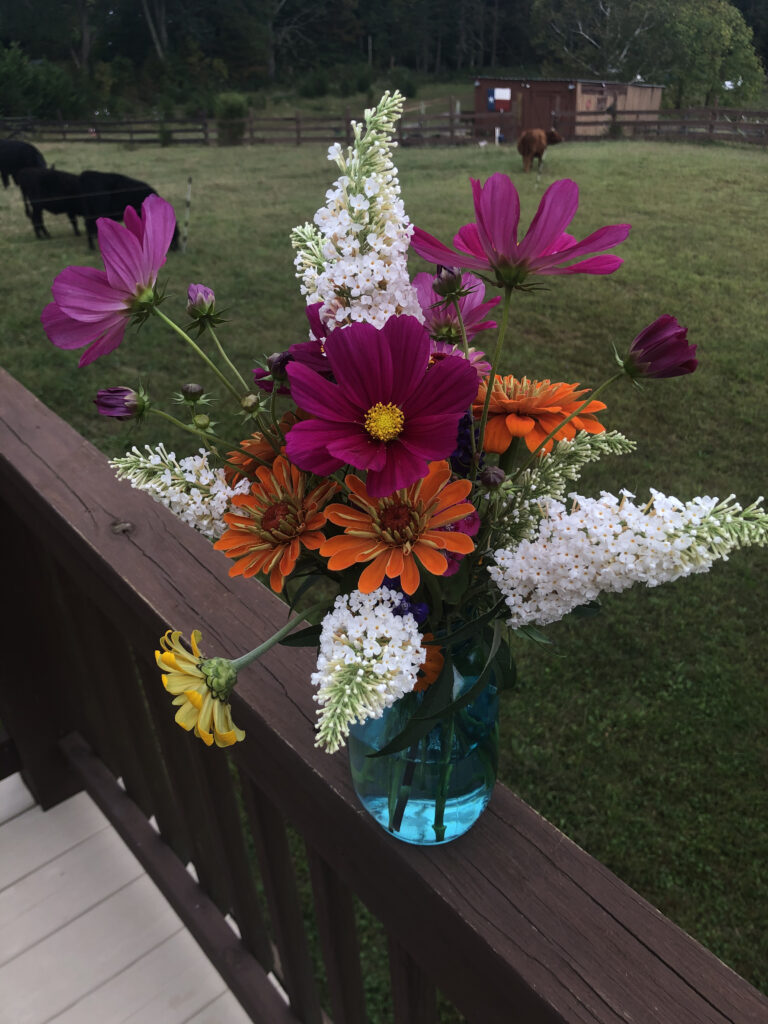 Another assorted arrangement