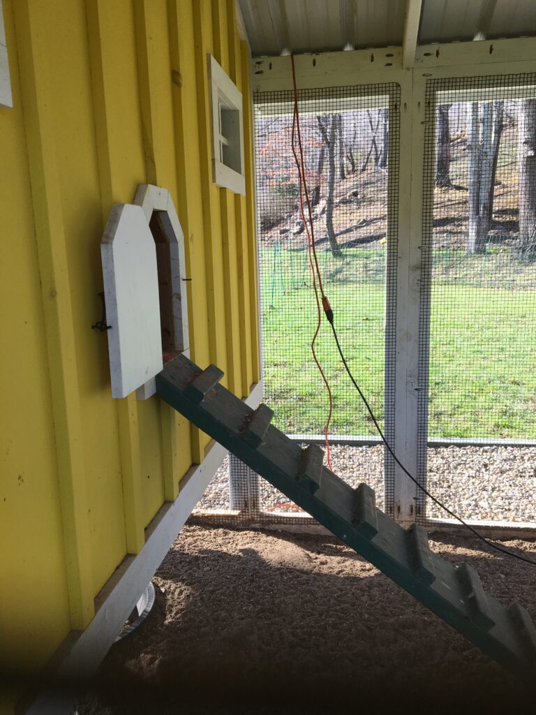 Elevated Chicken Coop 
